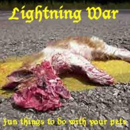 Fun Things to do with your Pets