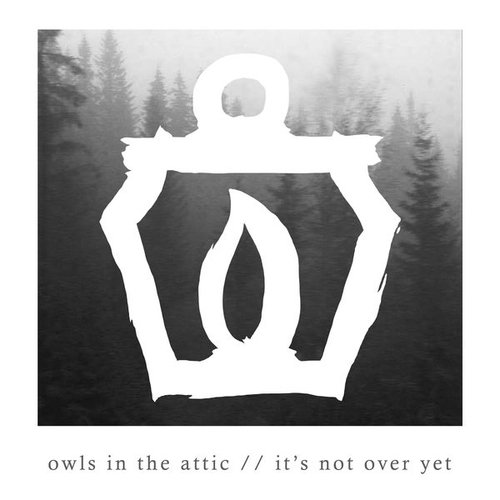 It's Not over Yet - Single