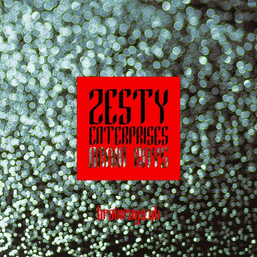 Zesty Enterprises