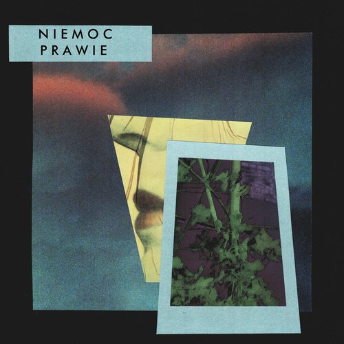 Prawie