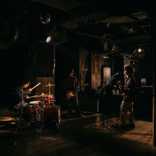 ノラネコ日記 - Single