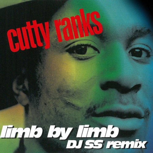 Limb By Limb (DJ SS Remix)