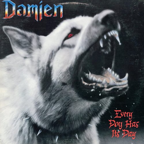Every Dog Has Its Day