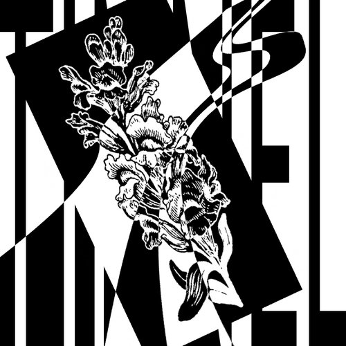 Snapdragon / Tinnel