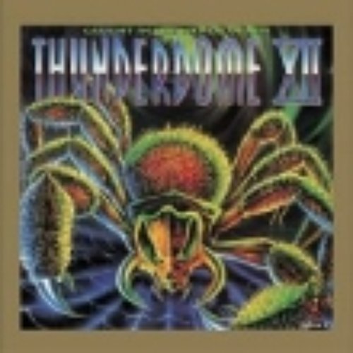 Thunderdome XII