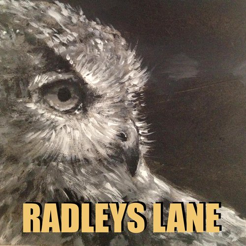 Radleys Lane