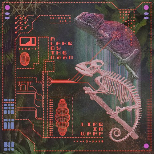 Life in Warp
