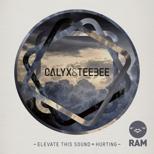 Elevate This Sound / Hurting