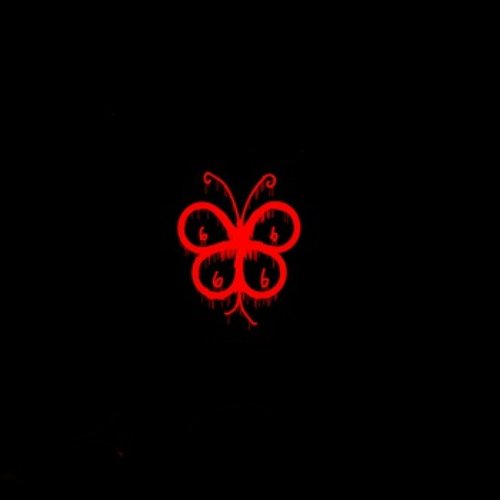 Fly - Single