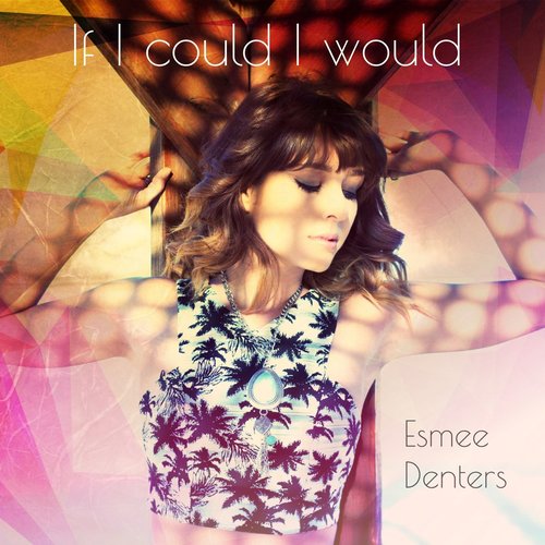 If I Could I Would - Single