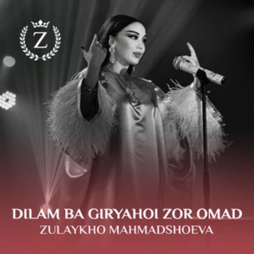 Dilam Ba Giryahoi Zor Omad