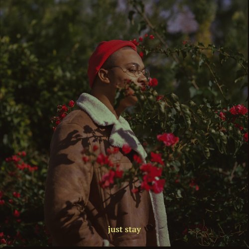 Just Stay - Single