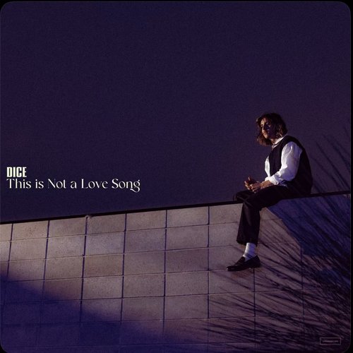 This is Not a Love Song - Single