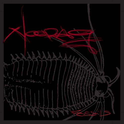 fossils