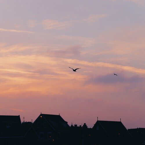 我能把你比作落日吗 (Sunset With You)