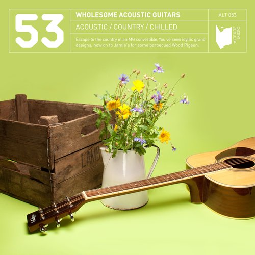 Wholesome Acoustic Guitars