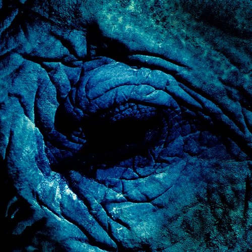 I Know You Came Here to Erase Me - Single