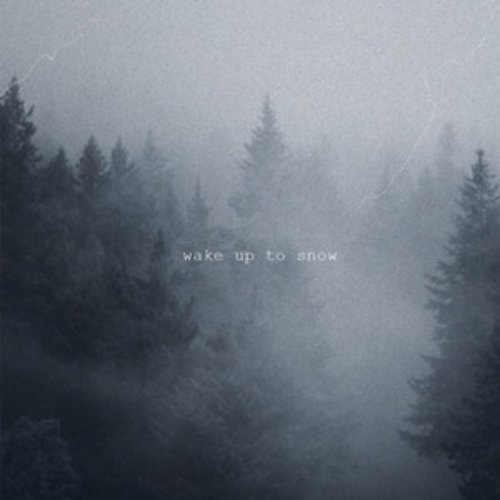 Wake Up to Snow
