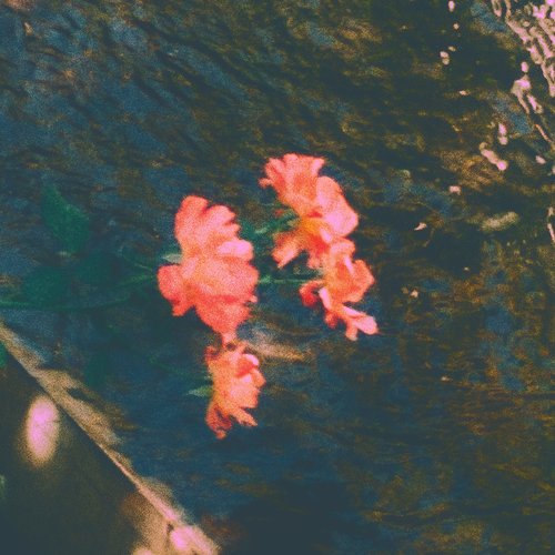 Cold - Single