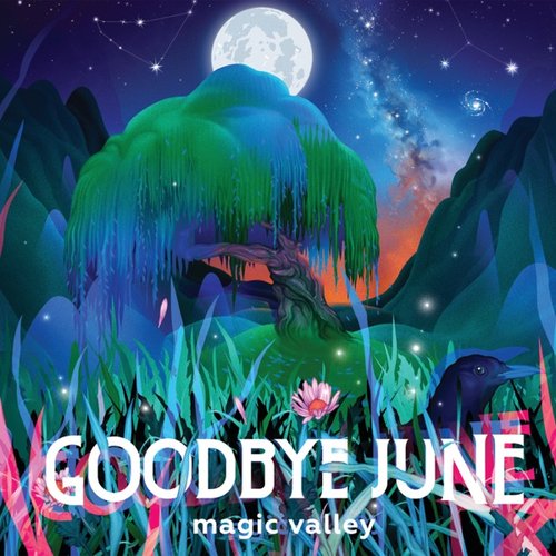 Magic Valley