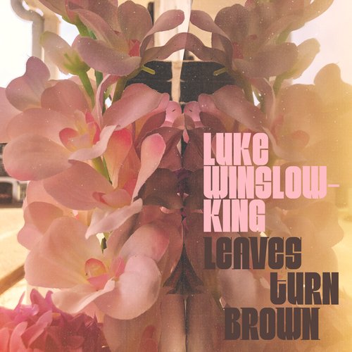 Leaves Turn Brown - Single