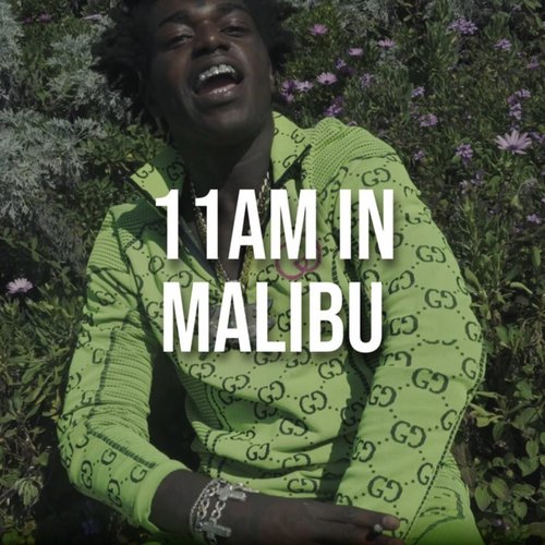 11am In Malibu