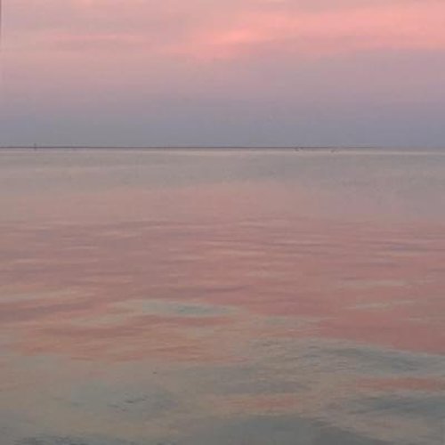 Entry - Single
