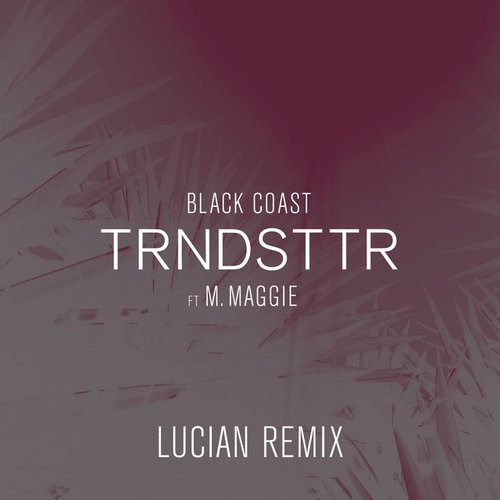 Trndsttr (Lucian Remix) [feat. M. Maggie]