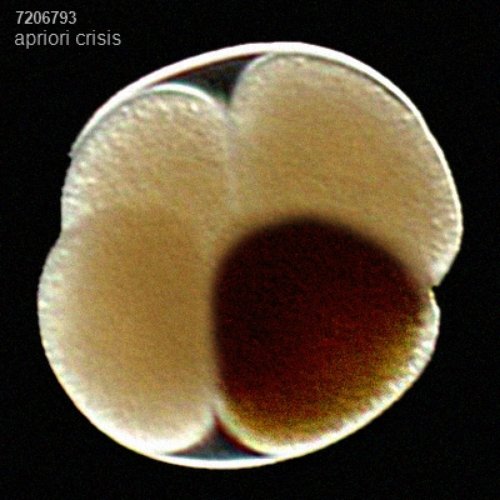 apriori crisis