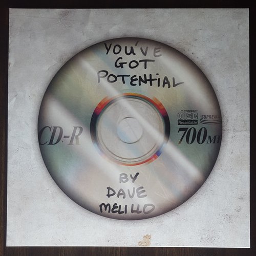 You've Got Potential (The Unreleased LP Sessions)