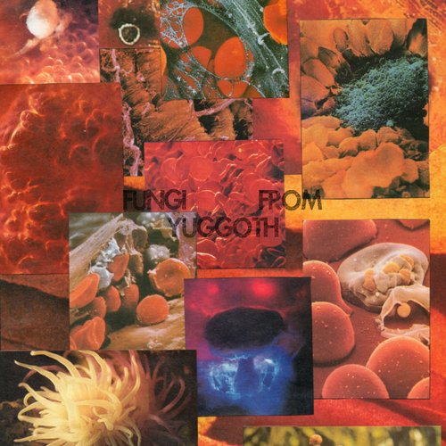 Fungi From Yuggoth