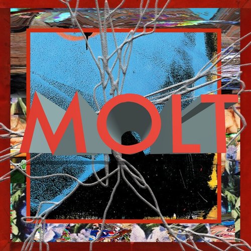 Molt