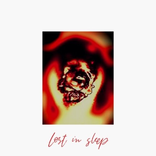 Lost in sleep
