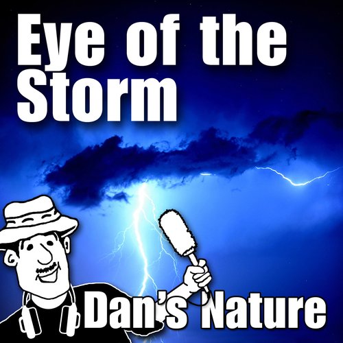 Eye of the Storm (Nature Sounds)