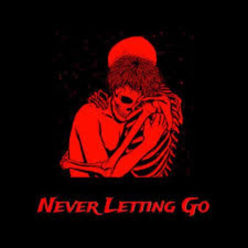 Never Letting Go - Single