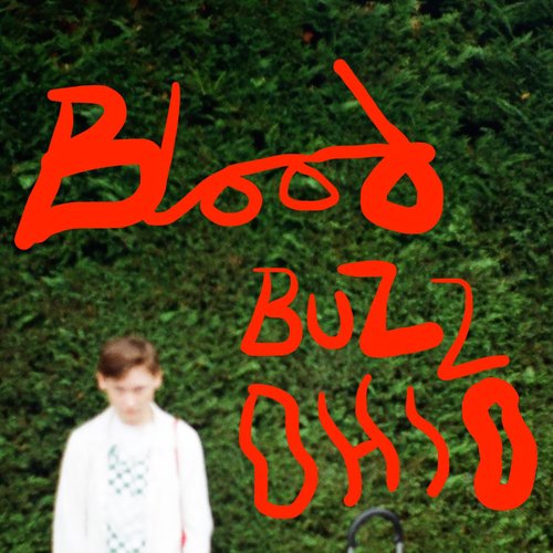 Bloodbuzz Ohio - Single