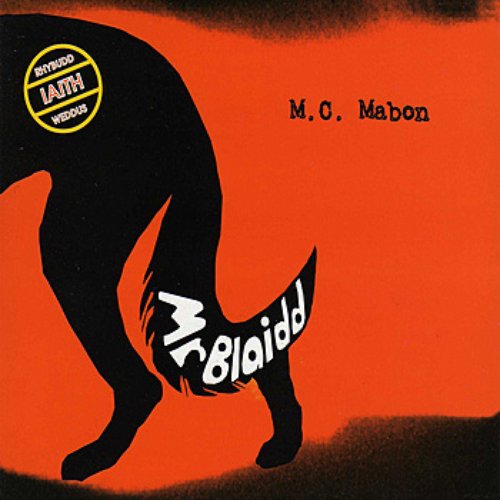 Mr Blaidd