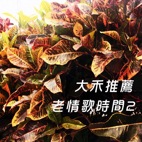 大禾推薦 老情歌時間-2