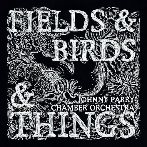 Fields & Birds & Things