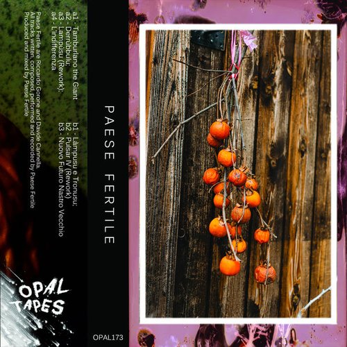 P a E S E F E R T I L E