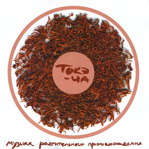 Phytogenesis Music