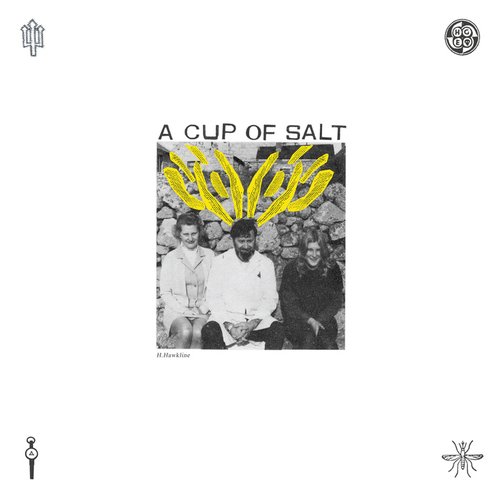 A Cup of Salt