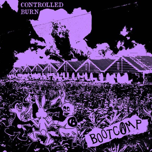 Controlled Burn - EP