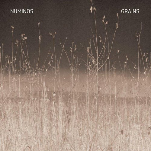 Grains