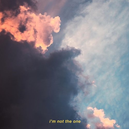 I'm Not the One