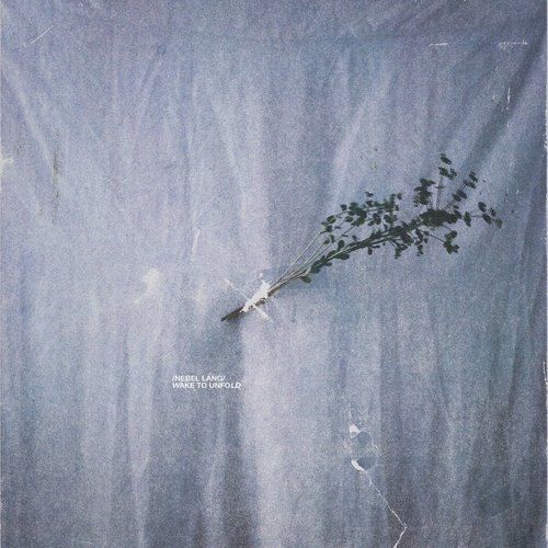 Wake To Unfold