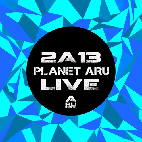 2A13