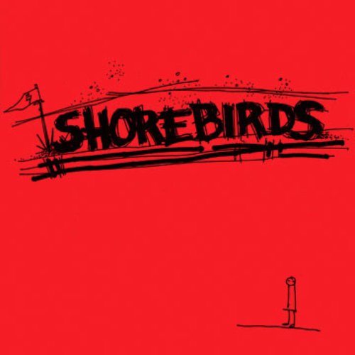 Shorebirds