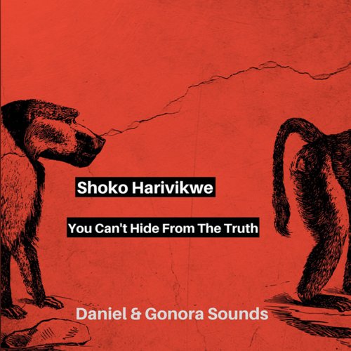 Shoko Harivikwe