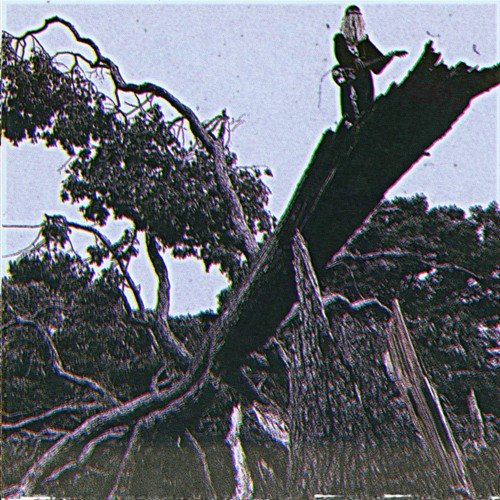 Felled [Explicit]